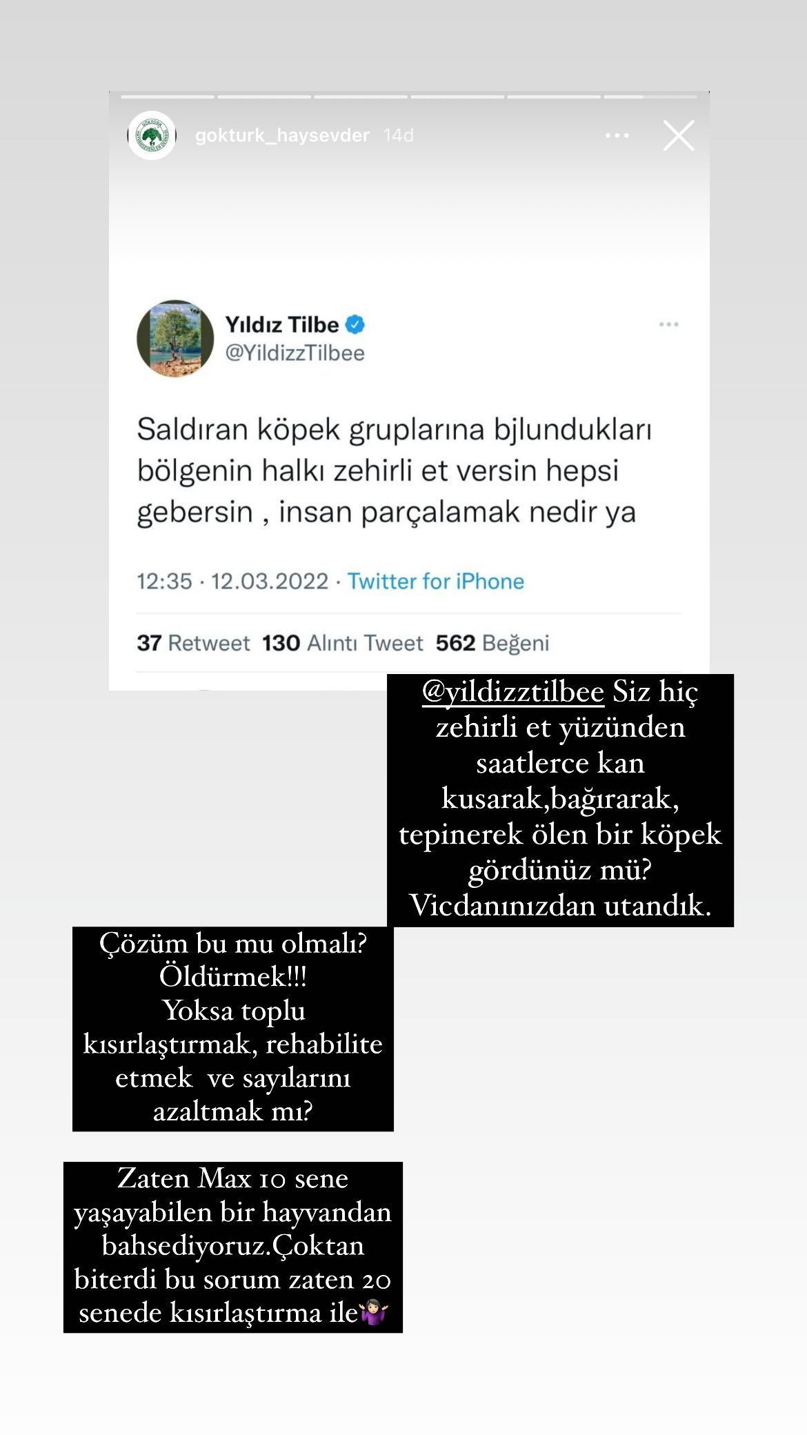Yıldız Tilbe'nin 'Köpeklere zehirli et verin' açıklamasına ünlü isimlerden tepki yağdı - Sayfa 6