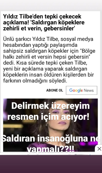 Yıldız Tilbe'nin 'Köpeklere zehirli et verin' açıklamasına ünlü isimlerden tepki yağdı - Sayfa 8
