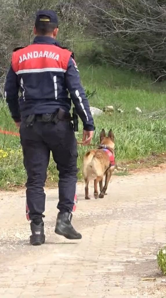 4 gündür kayıptı! 3 çocuk annesi kadın zeytinlikte bulundu - Sayfa 11