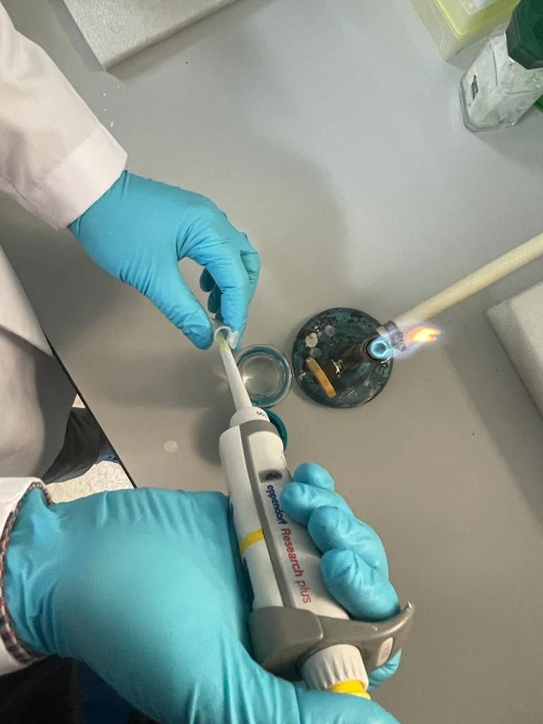 Ege Üniversitesi, koronavirüse karşı DNA aşısı üretti - Sayfa 7