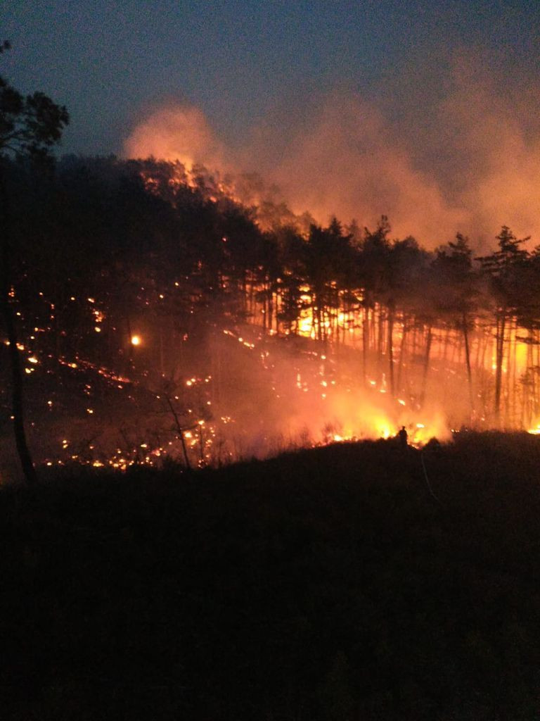 Çanakkale, Osmaniye, Bursa, Bilecik ve Muğla'da orman yangını - Sayfa 5