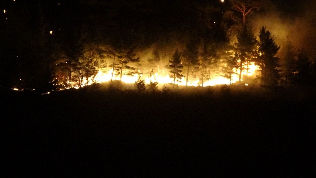 Çanakkale, Osmaniye, Bursa, Bilecik ve Muğla'da orman yangını - Sayfa 9