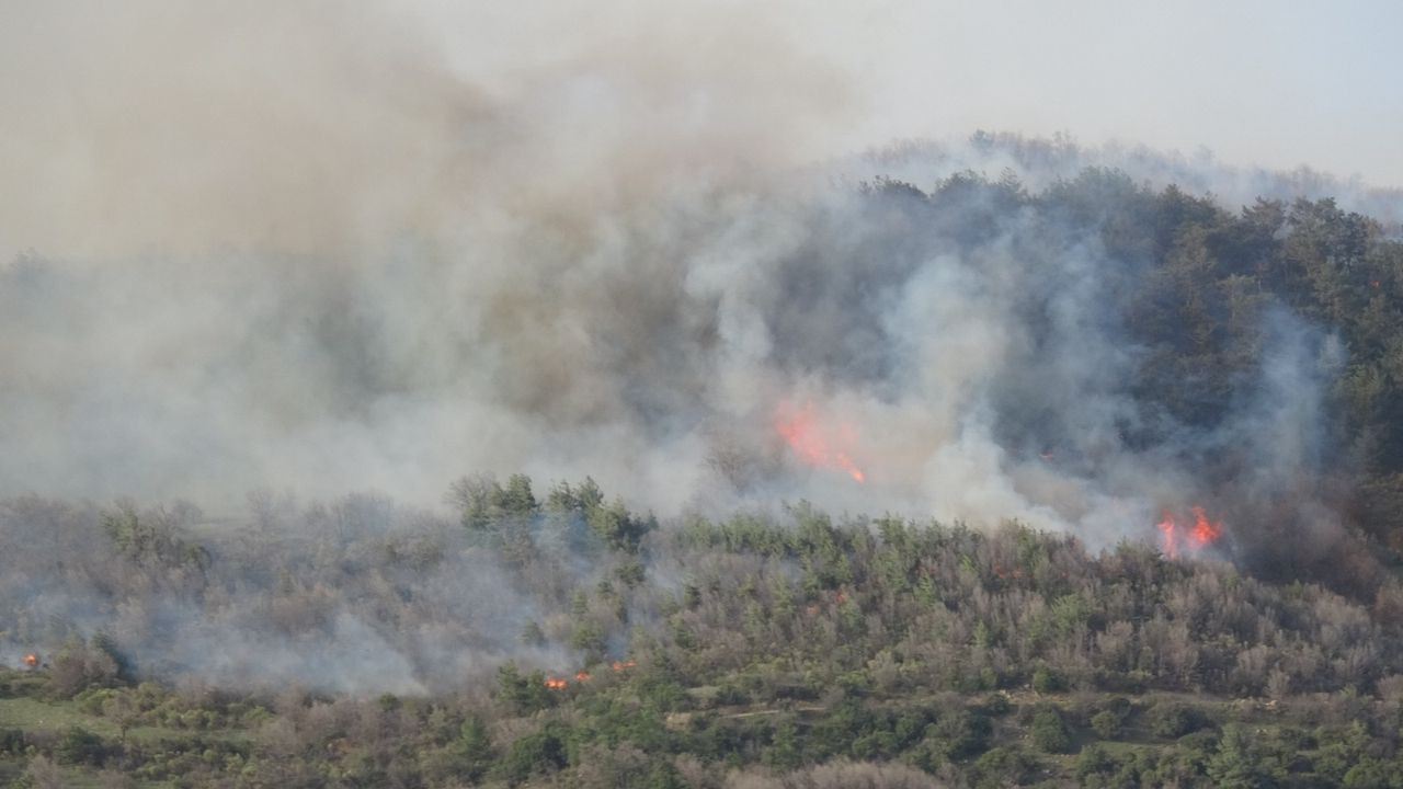 Çanakkale, Osmaniye, Bursa, Bilecik ve Muğla'da orman yangını - Sayfa 7