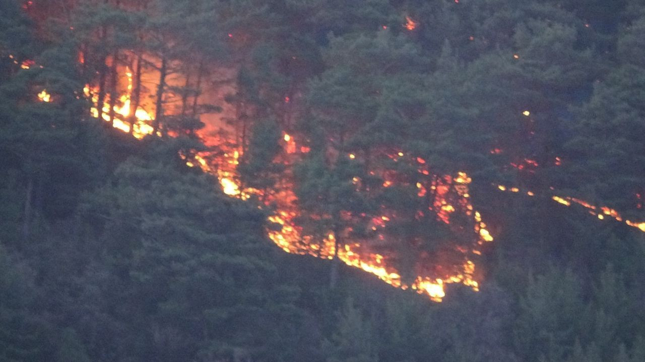 Çanakkale, Osmaniye, Bursa, Bilecik ve Muğla'da orman yangını - Sayfa 8