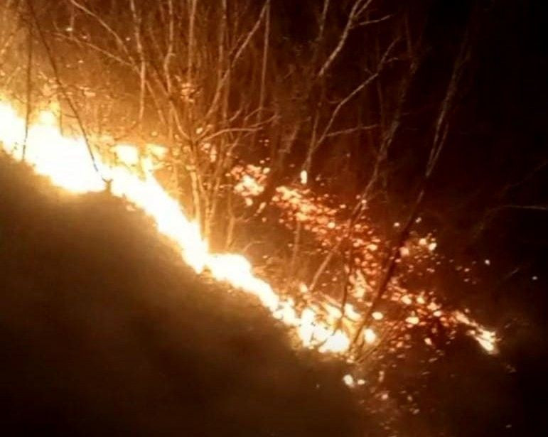 Çanakkale, Osmaniye, Bursa, Bilecik ve Muğla'da orman yangını - Sayfa 11