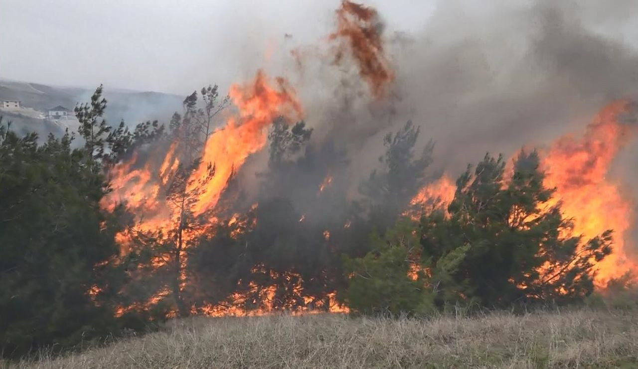 Çanakkale, Osmaniye, Bursa, Bilecik ve Muğla'da orman yangını - Sayfa 14