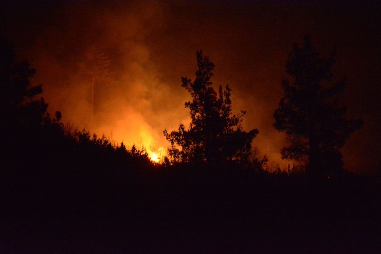 Çanakkale, Osmaniye, Bursa, Bilecik ve Muğla'da orman yangını - Sayfa 19
