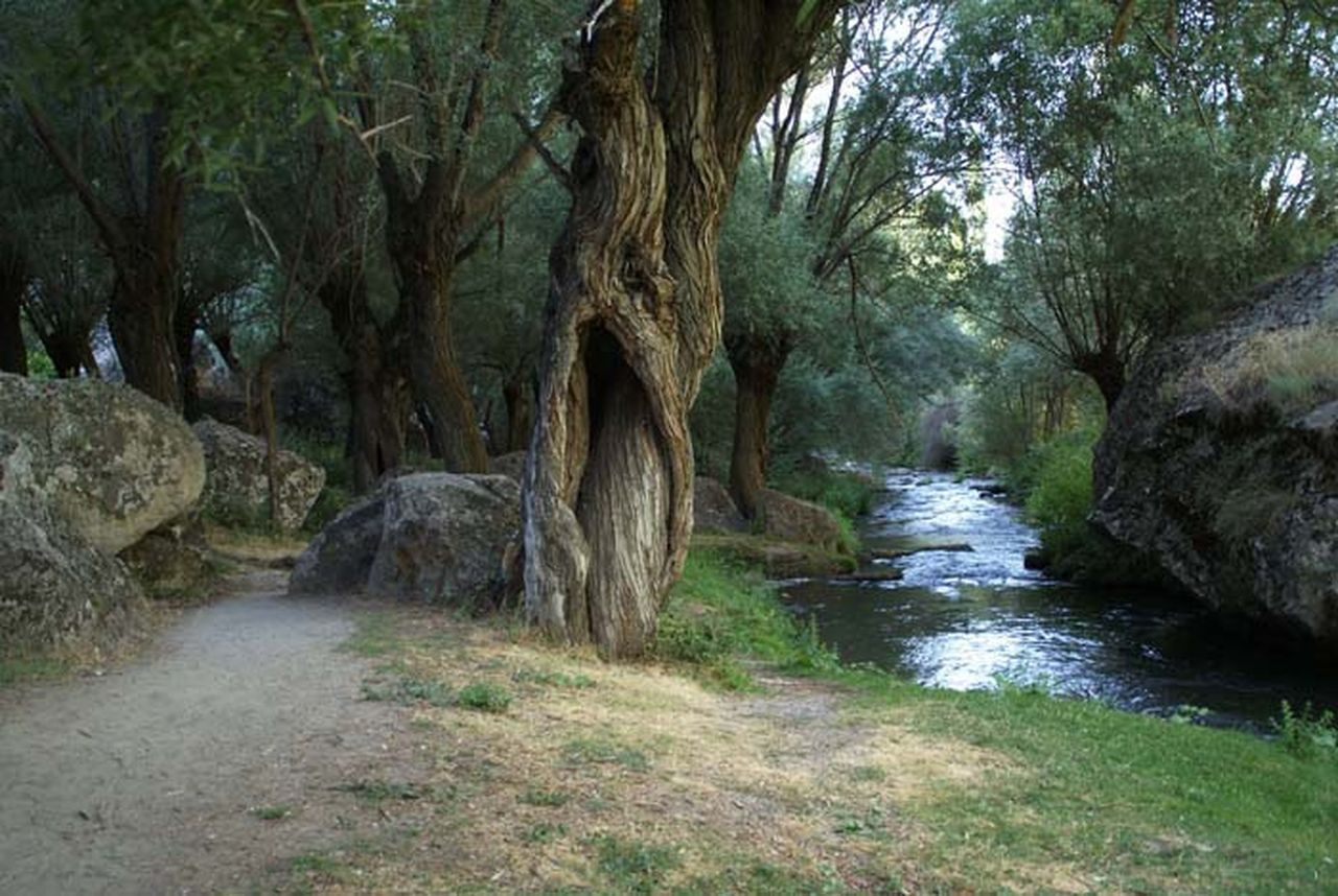 Ihlara Vadisi ve çevresi "kesin korunacak hassas alan" ilan edildi - Sayfa 7