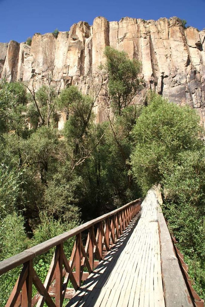 Ihlara Vadisi ve çevresi "kesin korunacak hassas alan" ilan edildi - Sayfa 8