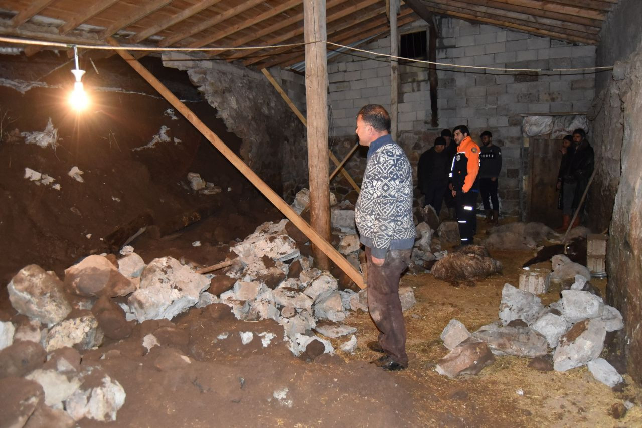 Ahır çöktü, 70 küçükbaş hayvan telef oldu - Sayfa 5