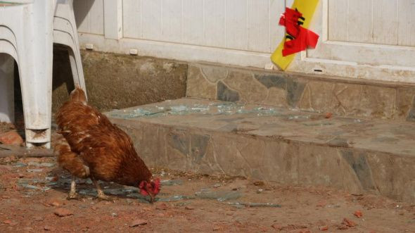 Edirne'deki aile katliamında akılalmaz detay: Size ölüm parası sakladım! - Sayfa 13