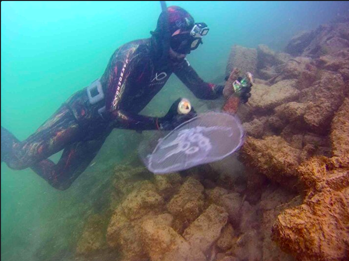 İstanbul Boğazı'nın dibindeki çöpler böyle görüntülendi - Sayfa 8