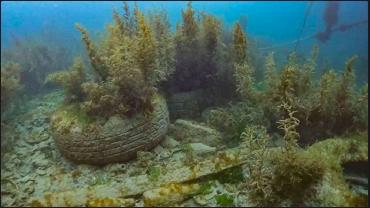 İstanbul Boğazı'nın dibindeki çöpler böyle görüntülendi - Sayfa 5
