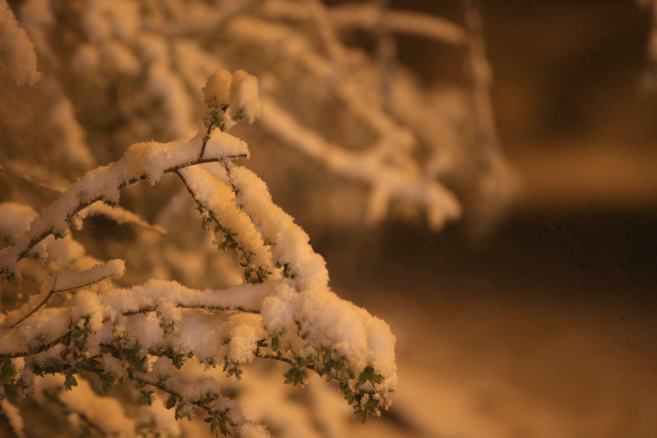 Yaz beklerken, kış geri geldi! Trakya'da kar yağışı etkili oldu - Sayfa 6