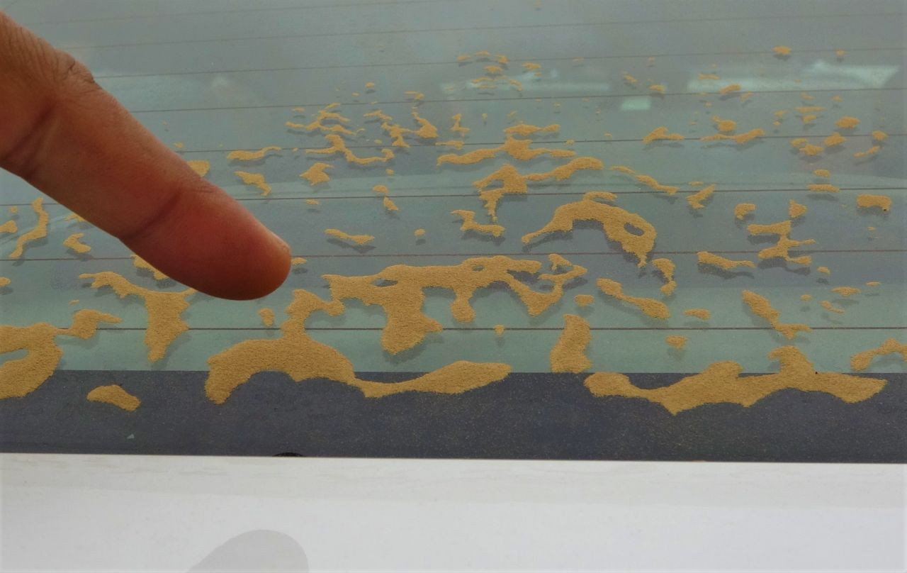 Bu illerde yaşayanlar dikkat! Afrika çöl tozları bugün de etkili olacak! Zorunlu olmadıkça dışarı çıkmayın... - Sayfa 8