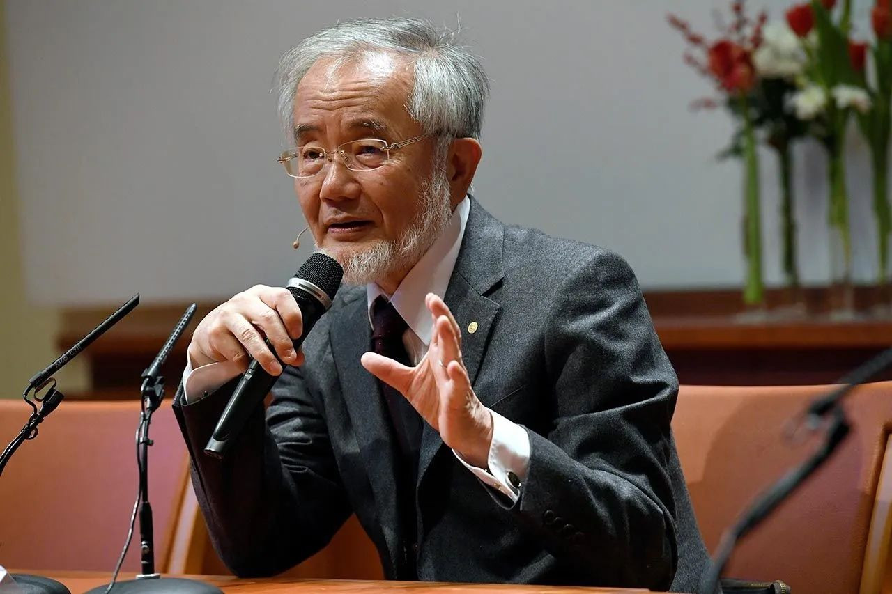 Nobel ödüllü Japon bilim insanından oruç açıklaması: Harikulade bir tasarım - Sayfa 7