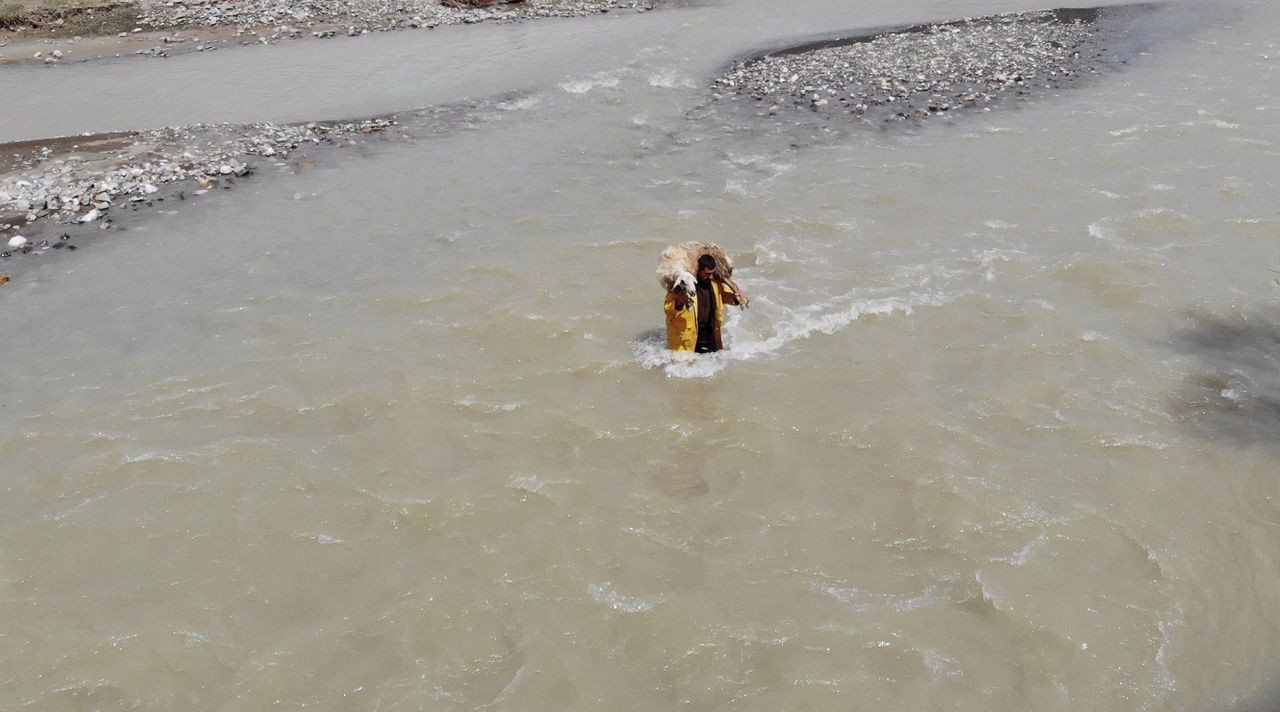 Görenler şaştı kaldı! Köprü yapılmasını isteyen besici koyunu sırtında akarsudan geçirdi - Sayfa 5