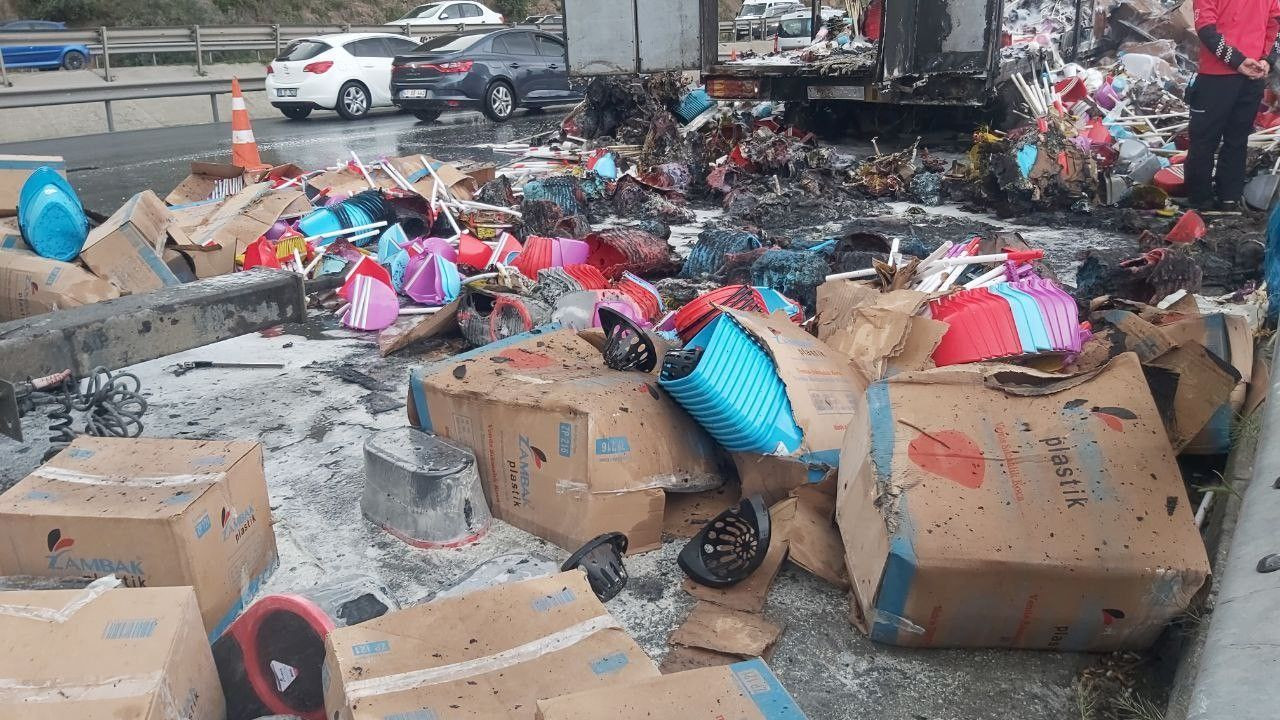 TIR, TEM’de alev alev yandı! Anadolu Otoyolu kilitlendi - Sayfa 6