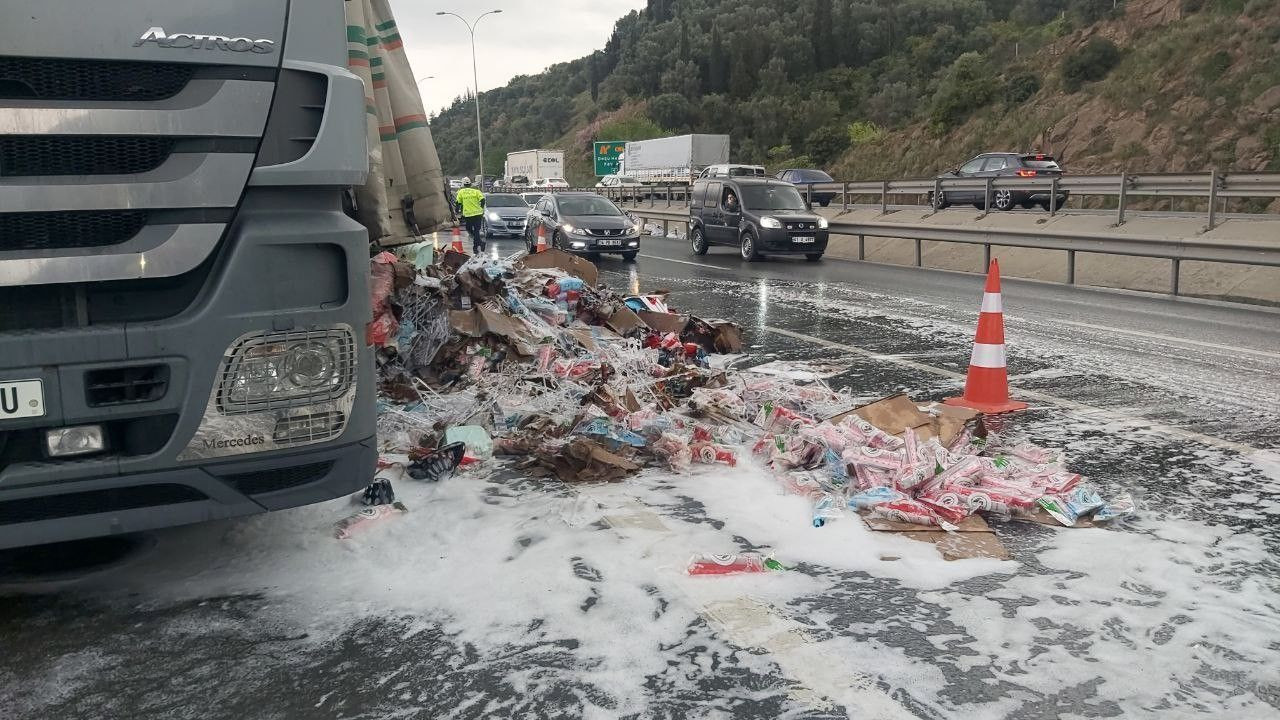 TIR, TEM’de alev alev yandı! Anadolu Otoyolu kilitlendi - Sayfa 9