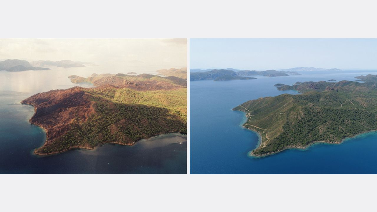 Yanan ormanlarda 'külden yeşile' dönüşüm: Öncesi ve sonrası fotoğrafları paylaşıldı! - Sayfa 7