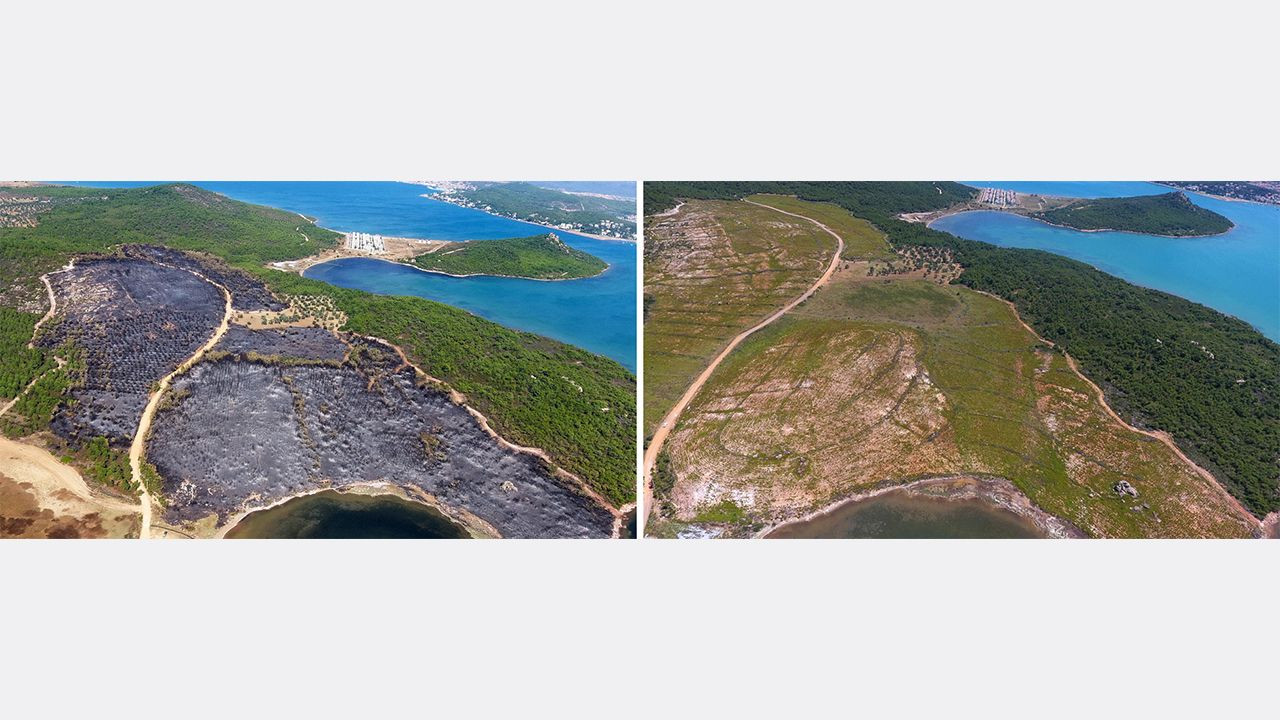 Yanan ormanlarda 'külden yeşile' dönüşüm: Öncesi ve sonrası fotoğrafları paylaşıldı! - Sayfa 9