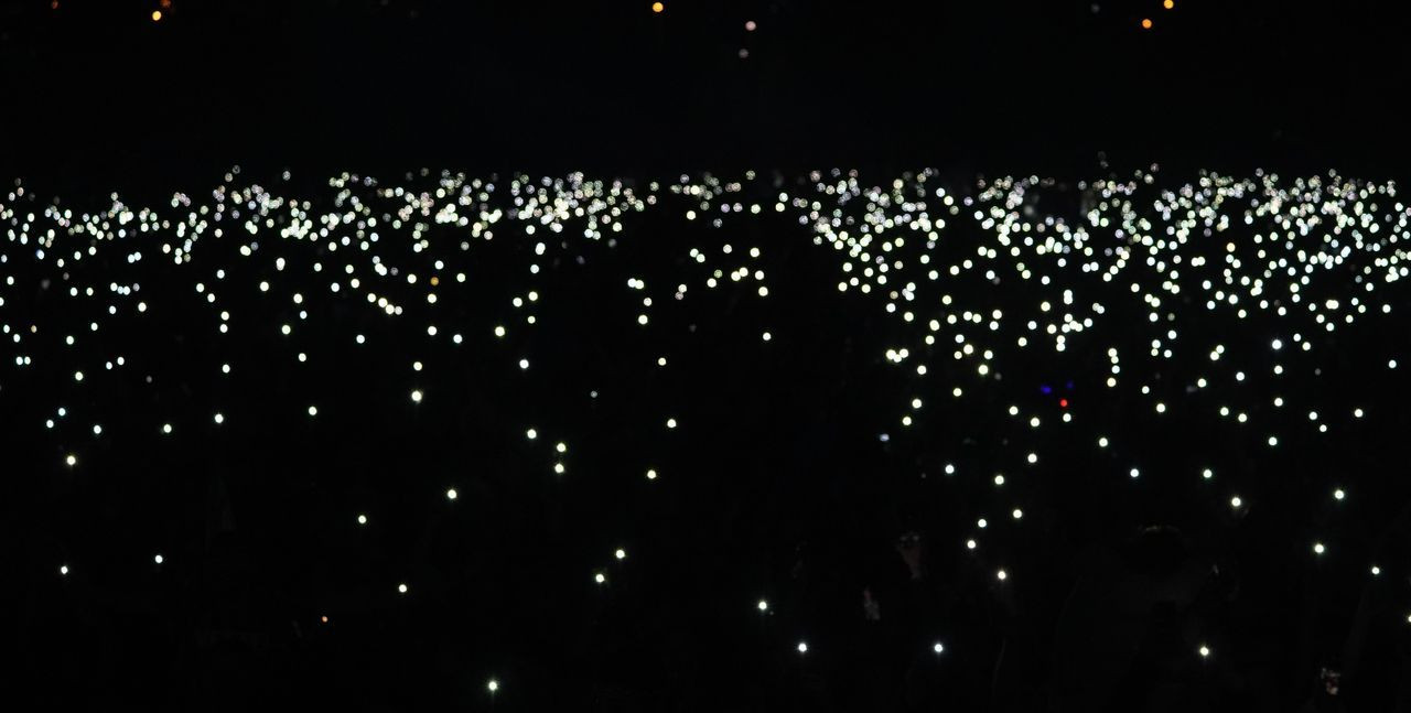 Trabzonspor, şampiyonluğu İstanbul’da kutladı! Yenikapı doldu taştı - Sayfa 27