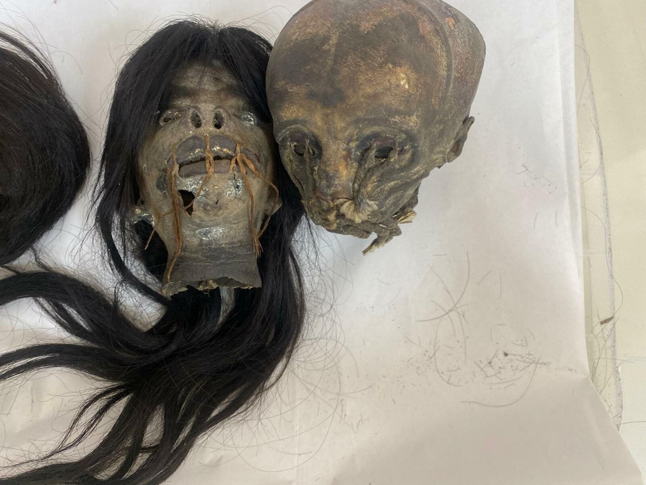 Keşifleri tarih dünyasını ayaklandırmıştı: 'Tsantsa'lar için karar çıktı! Geri gönderiliyorlar... - Sayfa 8