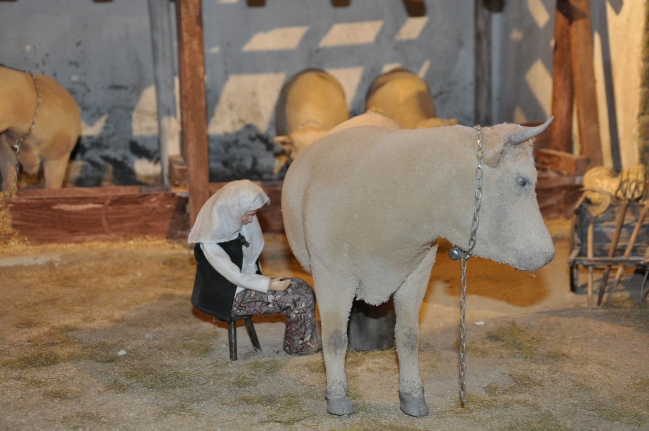 Dünya’nın 18’inci, Türkiye’nin ilk ve tek 'Peynir Müzesi'ne yoğun ilgi - Sayfa 10
