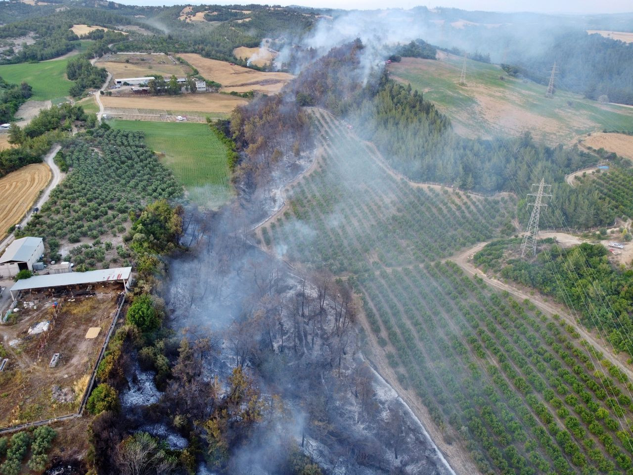 Antalya'daki orman yangını söndürüldü, 5 dönümlük alan zarar gördü - Sayfa 5