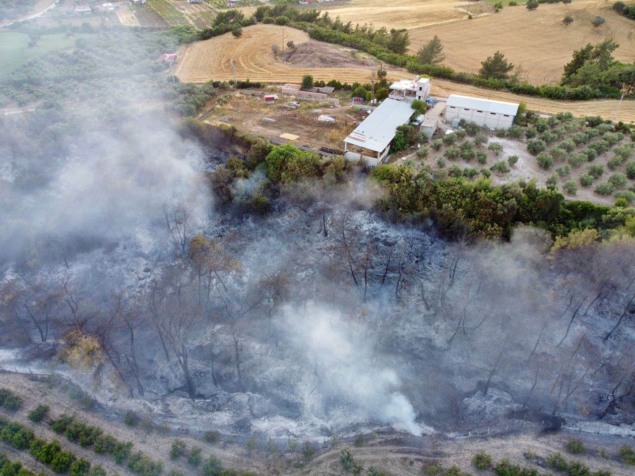 Antalya'daki orman yangını söndürüldü, 5 dönümlük alan zarar gördü - Sayfa 8