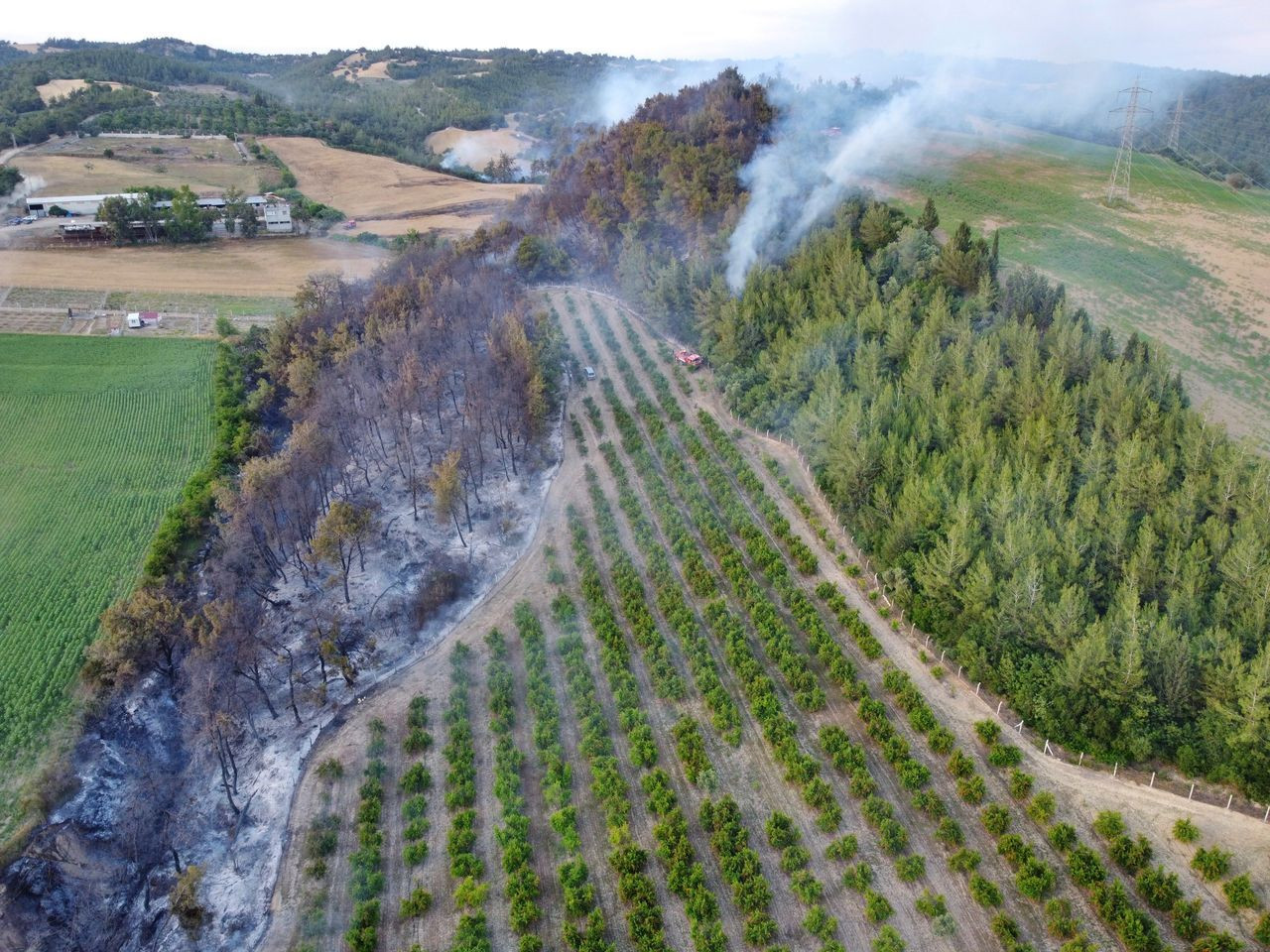 Antalya'daki orman yangını söndürüldü, 5 dönümlük alan zarar gördü - Sayfa 9