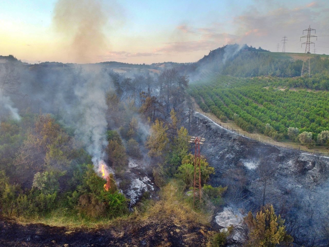 Antalya'daki orman yangını söndürüldü, 5 dönümlük alan zarar gördü - Sayfa 10
