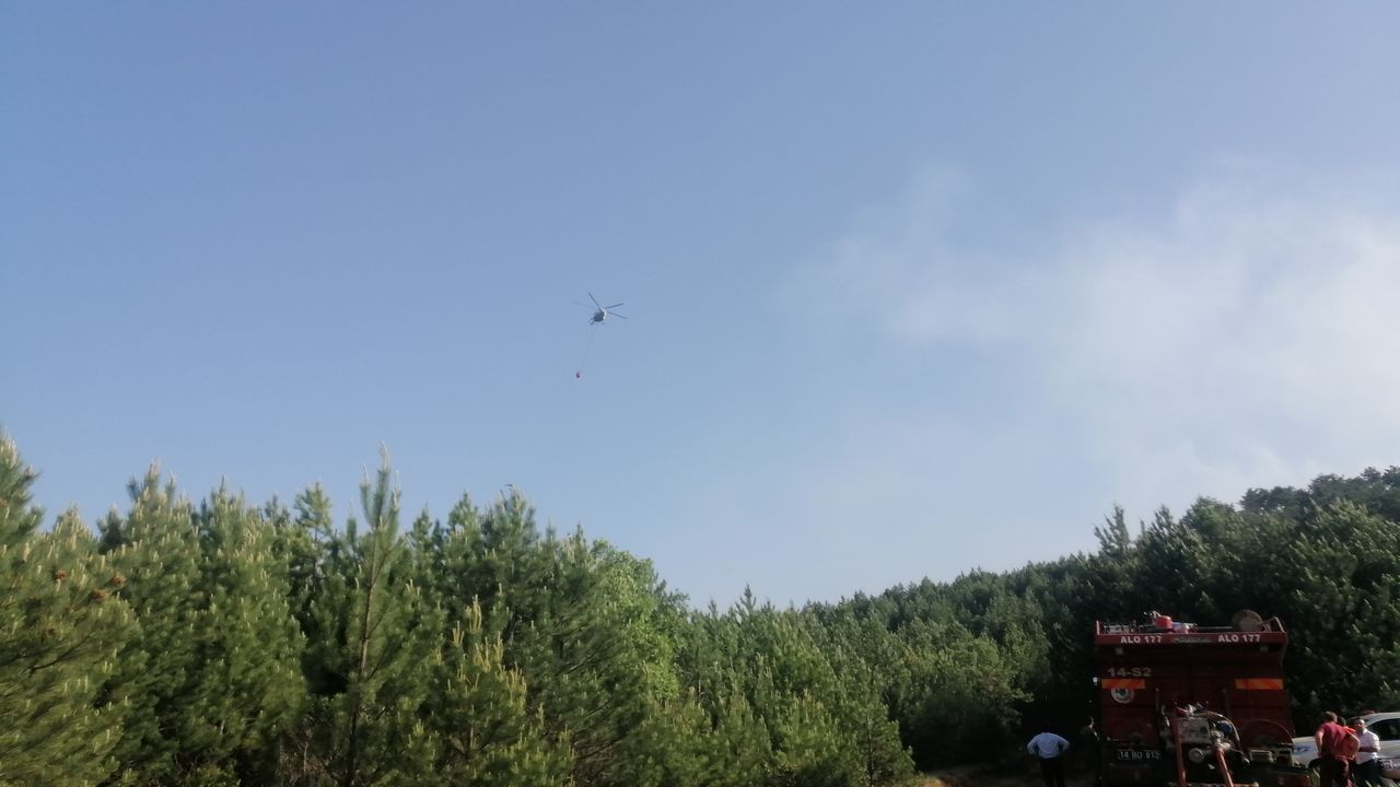 Bolu’daki orman yangını kontrol altında! 8 hektarlık çam zarar gördü - Sayfa 8
