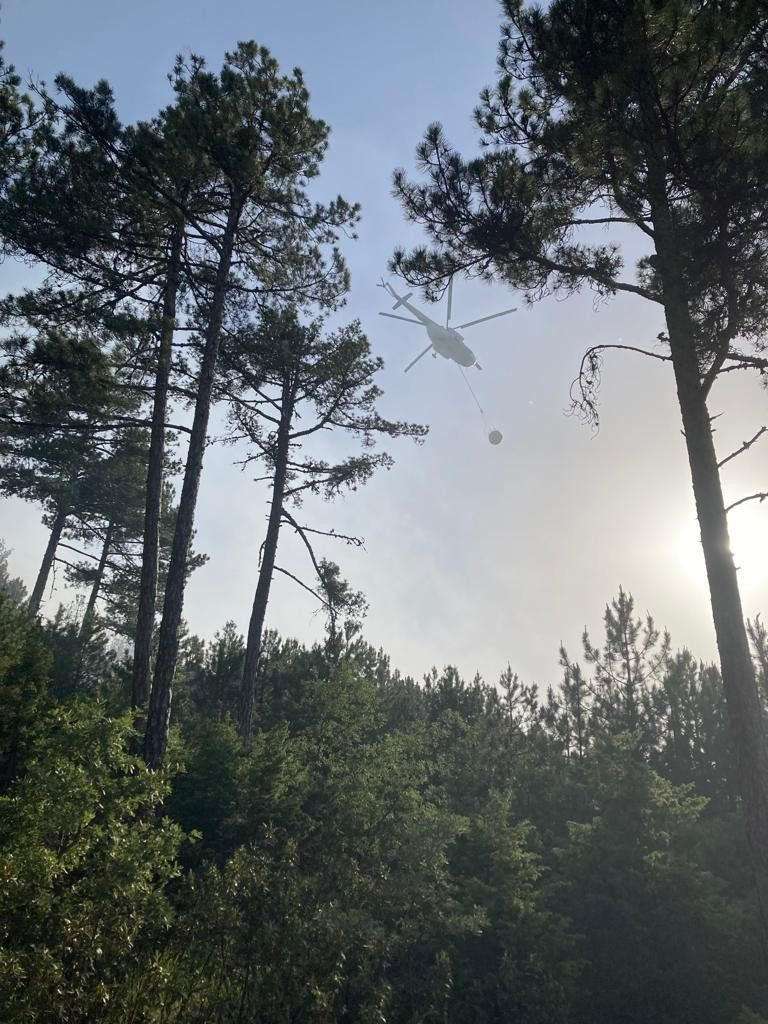 Bolu’daki orman yangını kontrol altında! 8 hektarlık çam zarar gördü - Sayfa 10