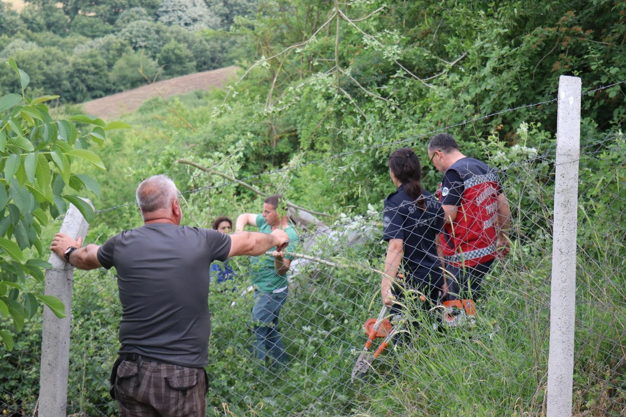 Yamaç paraşütüyle metrelerce yüksekten ağaçlık alana düştü - Sayfa 5