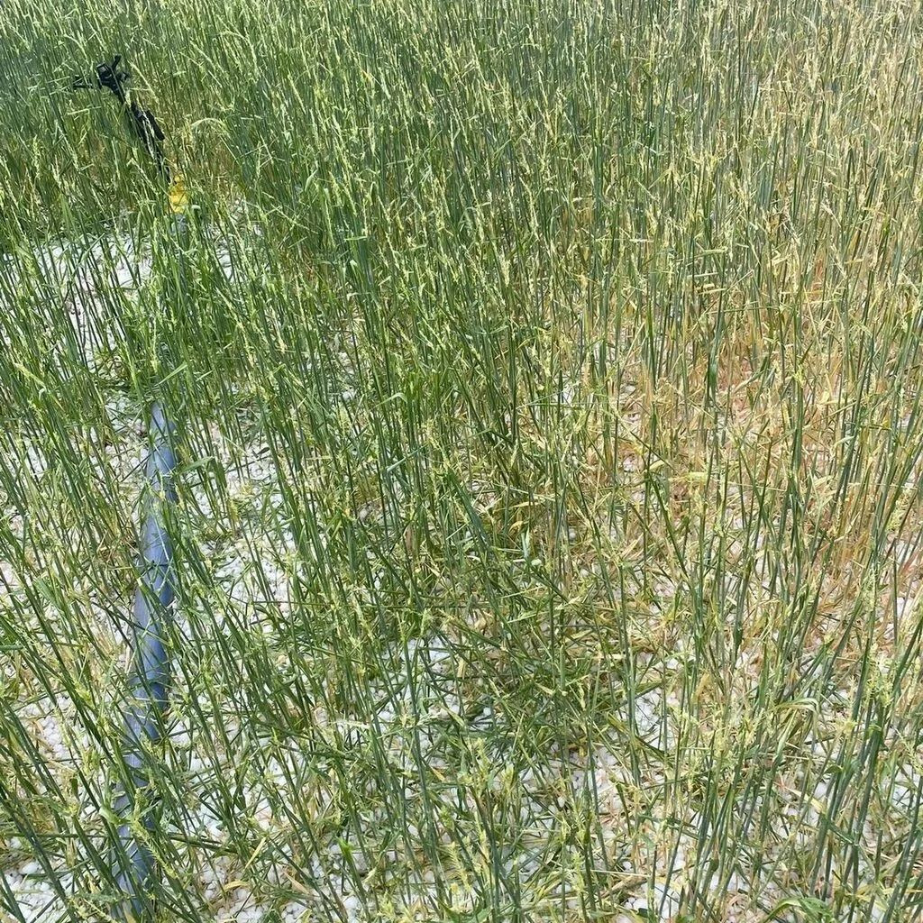 Konya'da Haziran ayında şok görüntü: Sosyal medyada gündem oldu! - Sayfa 8