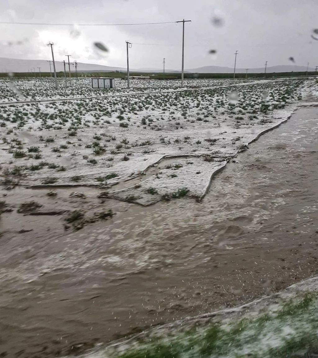 Konya'da Haziran ayında şok görüntü: Sosyal medyada gündem oldu! - Sayfa 9