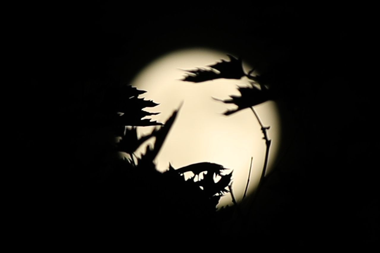 'Süper Ay' nefes kesti! İşte Türkiye ve dünyadan muhteşem dolunay manzaraları - Sayfa 19