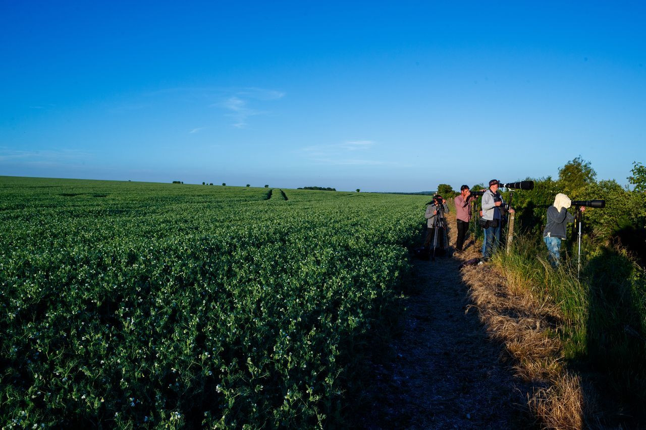 İngiltere'nin planı AİHM'e takıldı! Sığınmacıları Ruanda'ya gönderecek uçak durduruldu - Sayfa 8