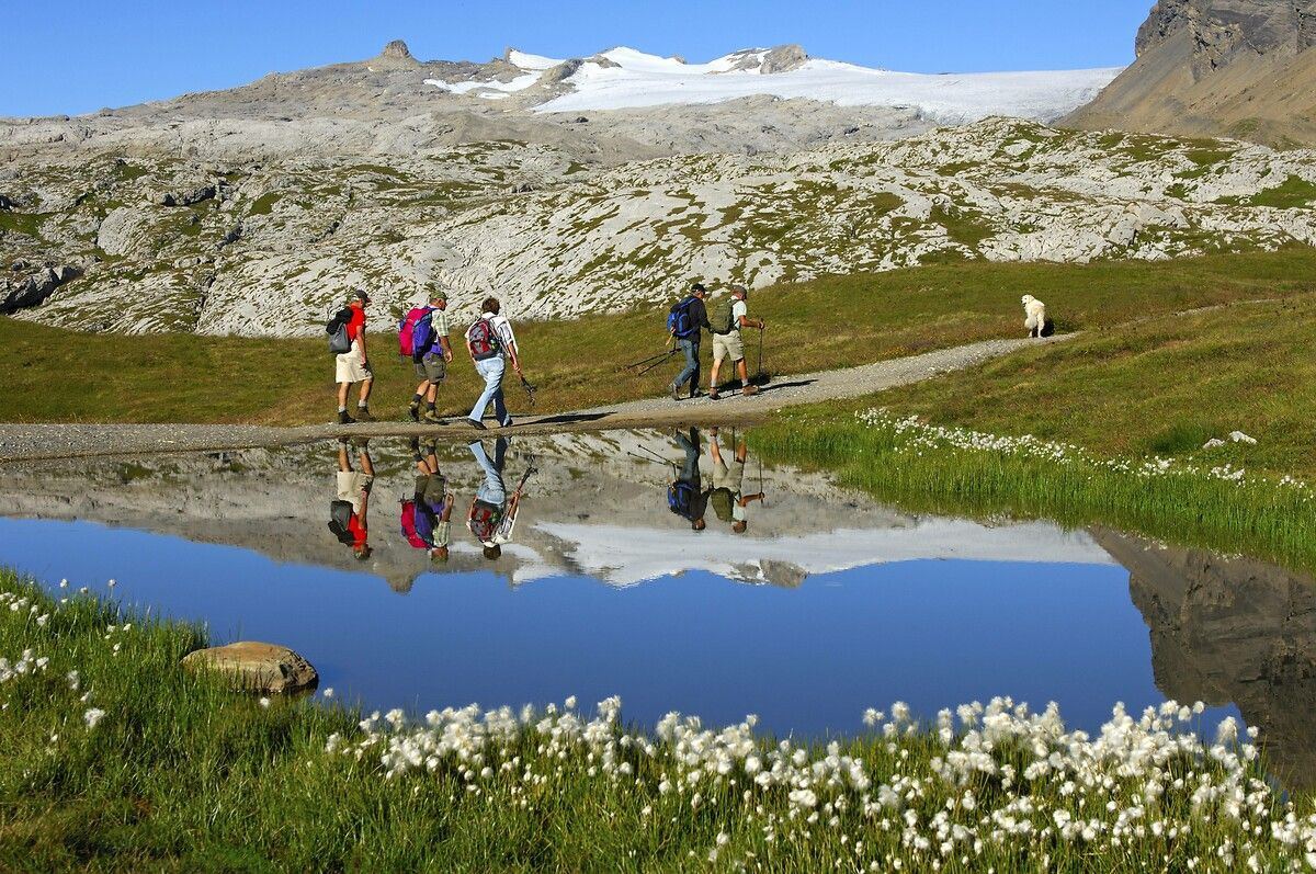 İsviçre'nin doğa harikası: Valais Kantonu - Sayfa 11