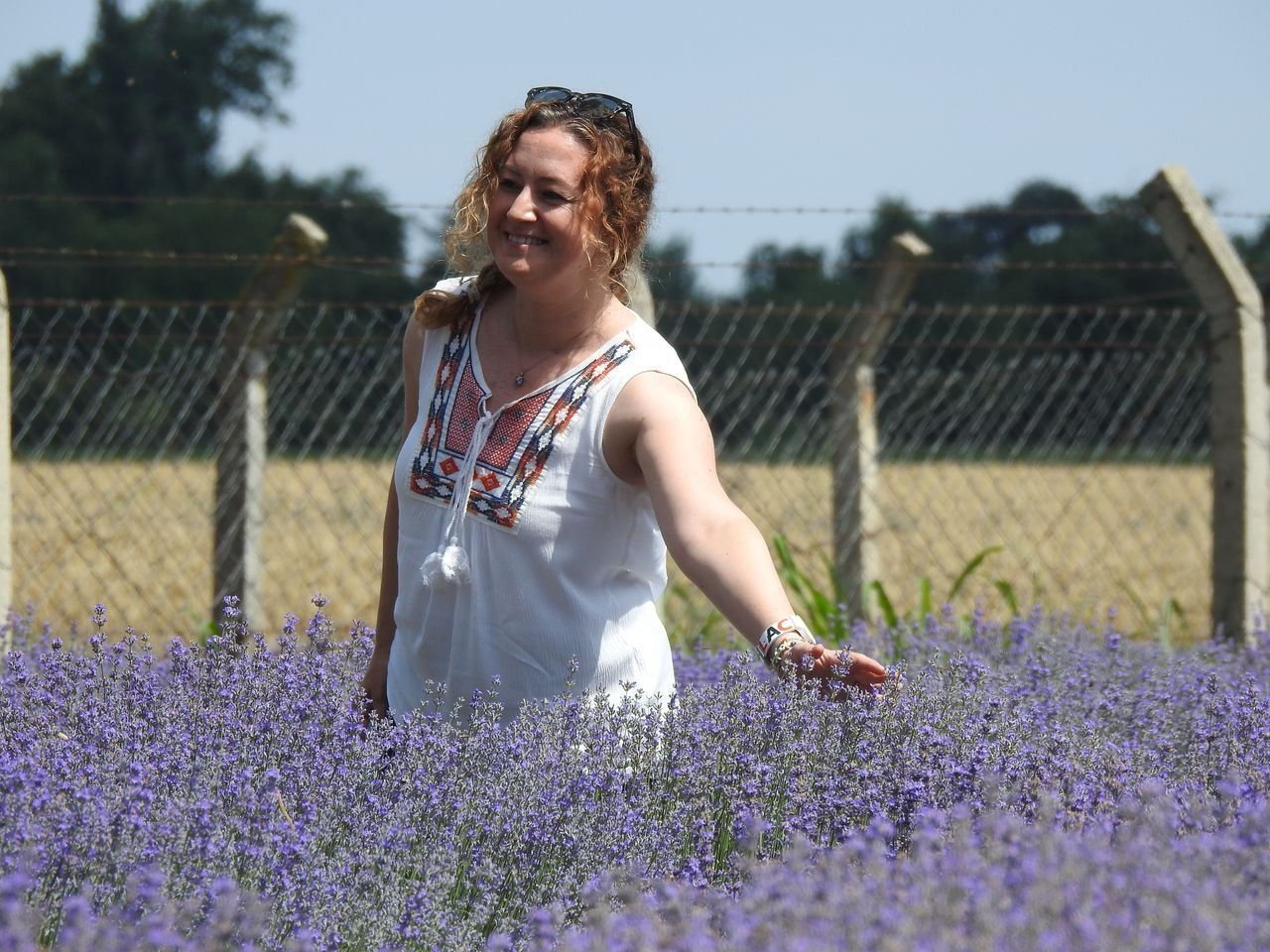 Edirne'de tarlalar mora boyandı! Telefonunu kapan lavantalara koştu - Sayfa 13