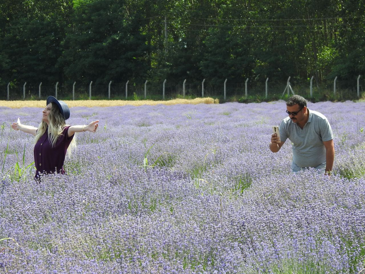 Edirne'de tarlalar mora boyandı! Telefonunu kapan lavantalara koştu - Sayfa 15