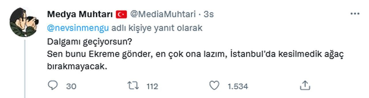 İBB'nin ağaç katliamlarını görmezden gelip hükümete yüklendi! Nevşin Mengü'ye tokat gibi yanıt vatandaşlardan geldi - Sayfa 8