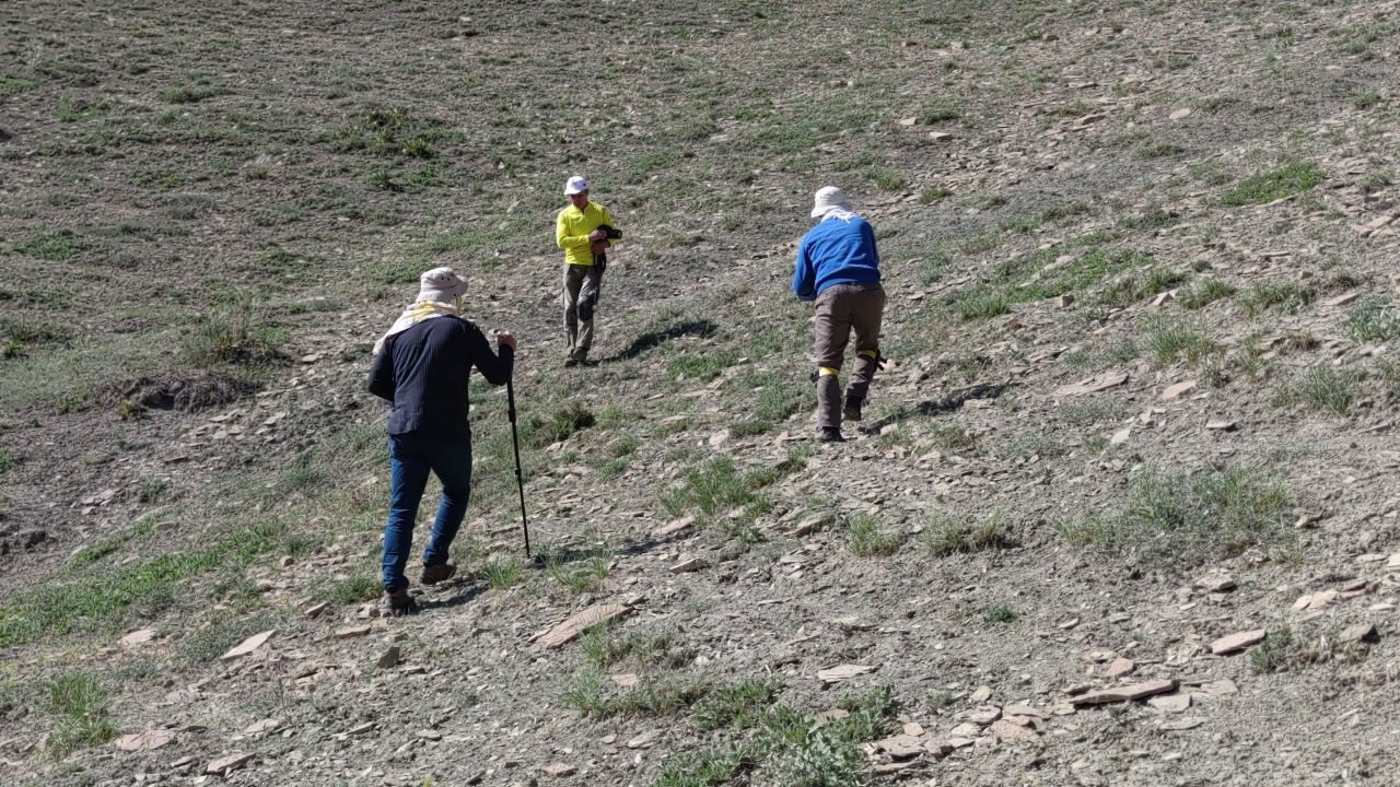 Sadece Van'da görülen "Rose'nin Çokgözlüsü"nü görüntülemek için kilometrelerce yol gittiler - Sayfa 8