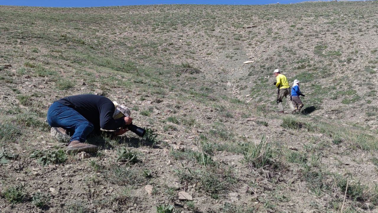 Sadece Van'da görülen "Rose'nin Çokgözlüsü"nü görüntülemek için kilometrelerce yol gittiler - Sayfa 9