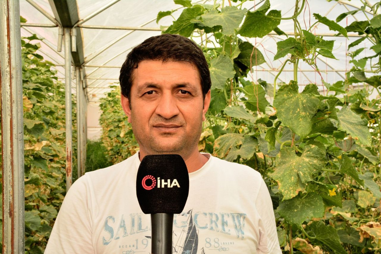 Meslek lisesinde tarım eğitimi - Sayfa 6