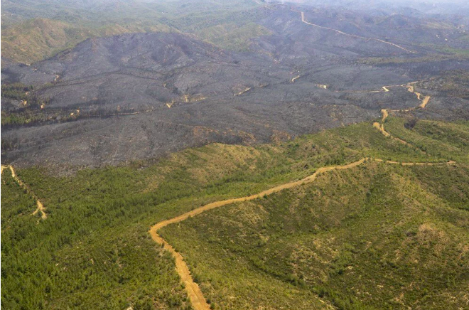 Marmaris'teki yangın devam ediyor: Yanan orman havadan böyle görüntülendi - Sayfa 15