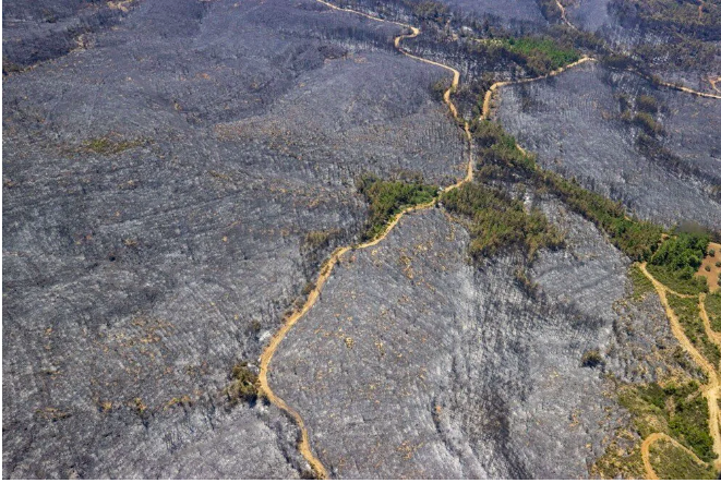 Marmaris'teki yangın devam ediyor: Yanan orman havadan böyle görüntülendi - Sayfa 6