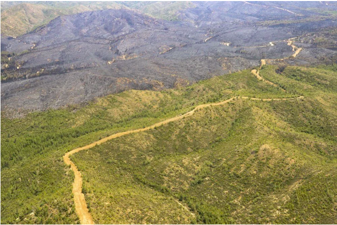Marmaris'teki yangın devam ediyor: Yanan orman havadan böyle görüntülendi - Sayfa 16