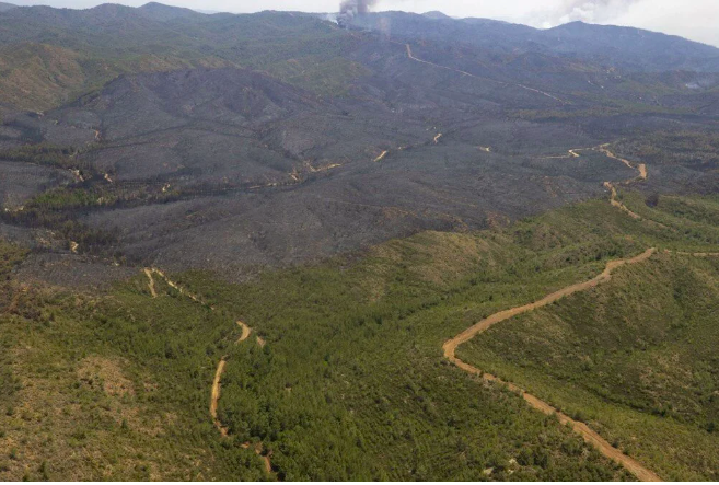 Marmaris'teki yangın devam ediyor: Yanan orman havadan böyle görüntülendi - Sayfa 14